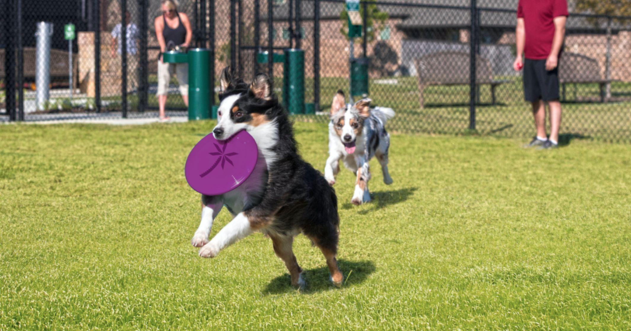 Welcome to the Marvida Neighborhood