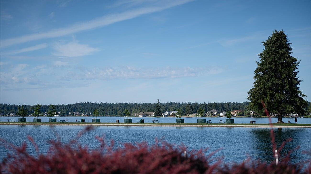 Welcome to the Cedar Estates Neighborhood